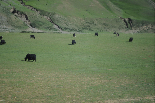 On the way to Lhasa